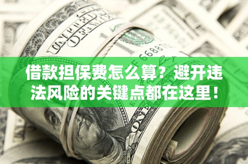 济南借款担保费怎么算？避开违法风险的关键点都在这里！