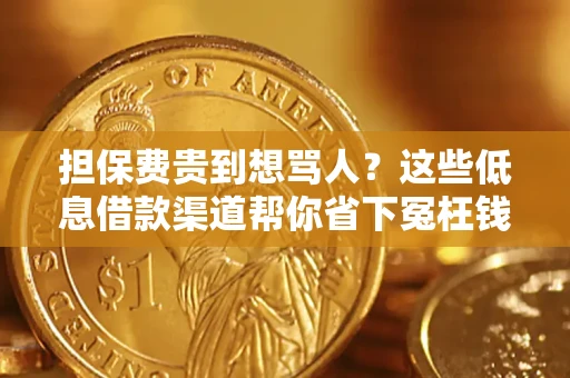 济南担保费贵到想骂人？这些低息借款渠道帮你省下冤枉钱