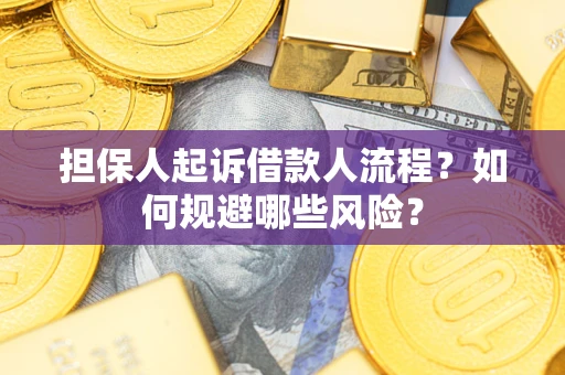 济南担保人起诉借款人流程？如何规避哪些风险？